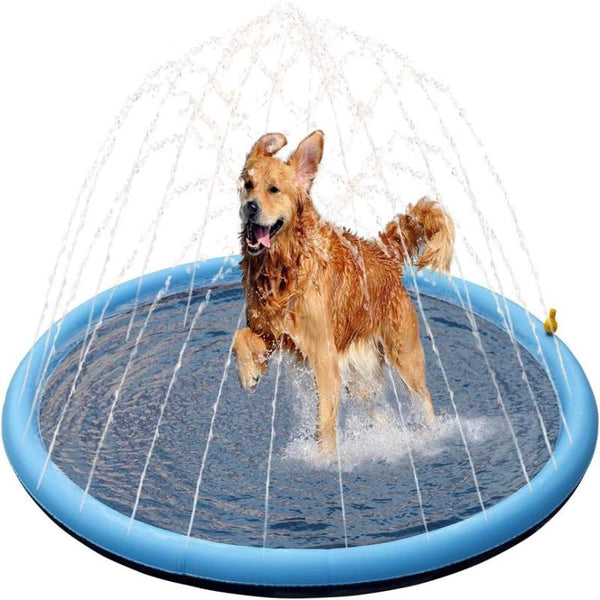 Hund planscht fröhlich auf der Wassersprinkler-Matte im Garten